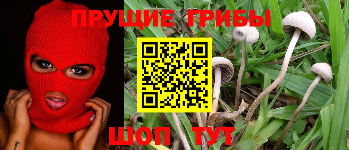 Псилоцибиновые грибы Magic Shrooms  Вход с VPN  Мыски 