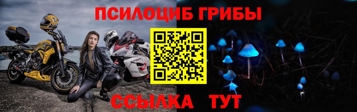 Псилоцибиновые грибы прущие грибы Мыски